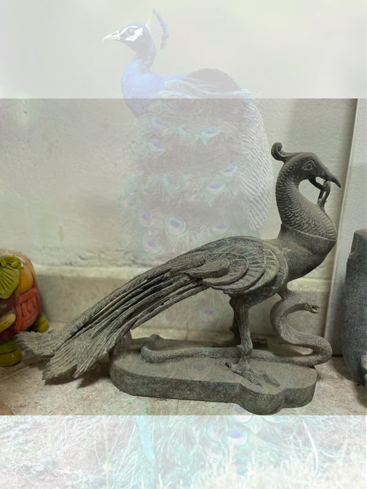 Stone Peacock