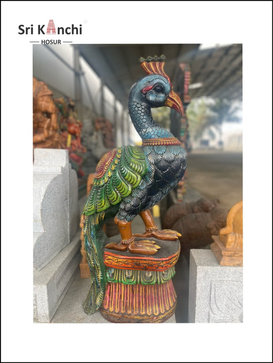 Parrot (Set) Craft Wood & Shapes