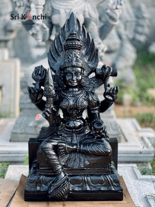 Sri Mariamman Hindu God